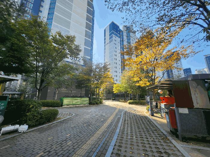 사진 08