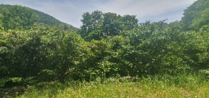 사진 07