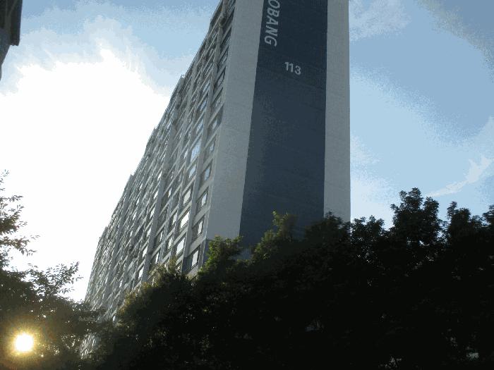사진 08