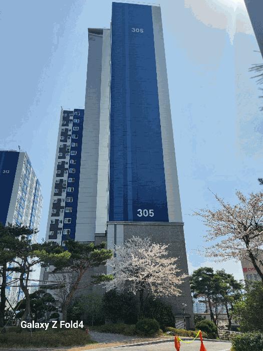 사진 08