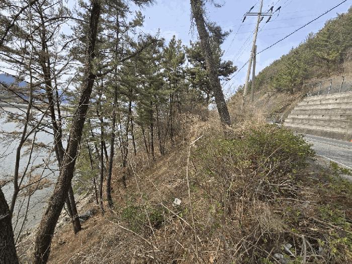 사진 06