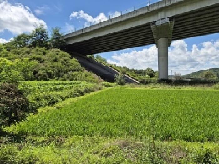 사진 08
