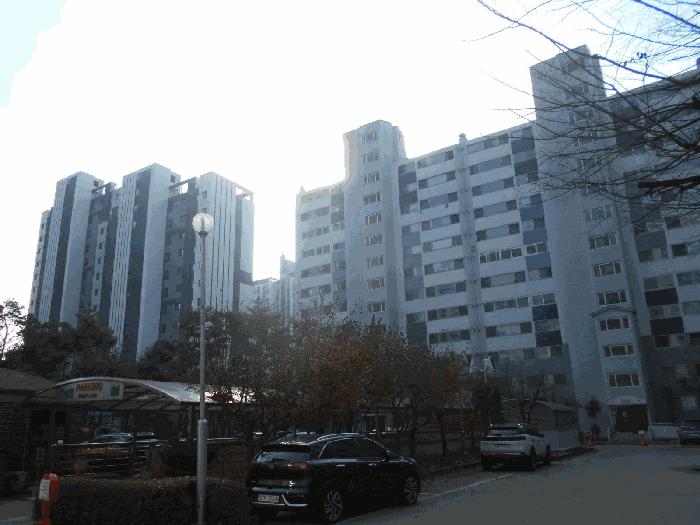 사진 08