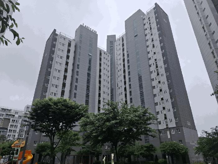 사진 05
