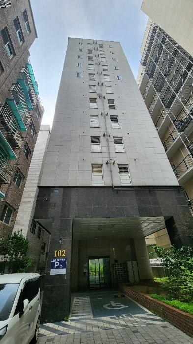사진 01