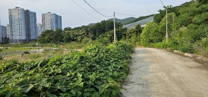 사진 05