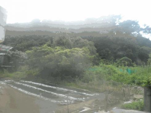 사진 01