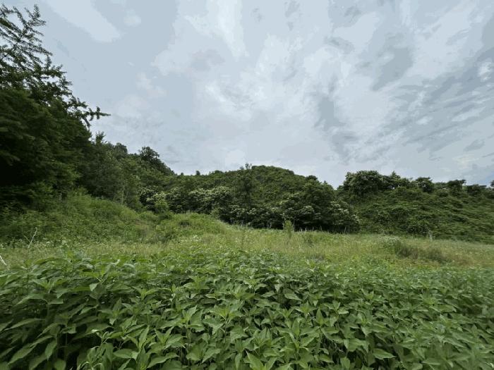 사진 02