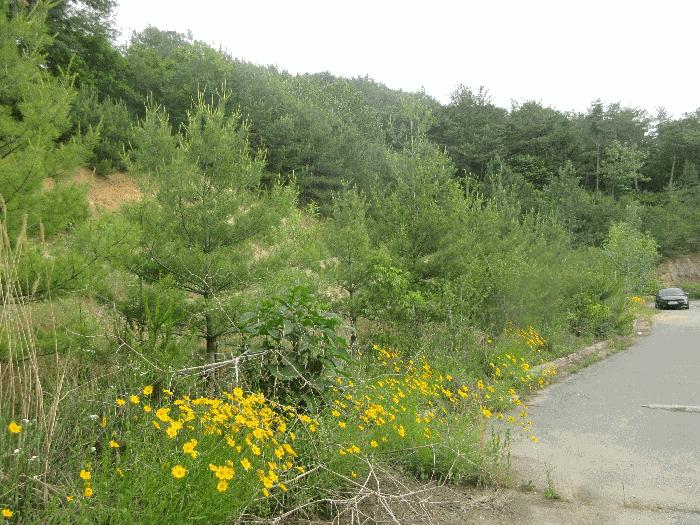 사진 03