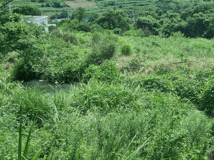 사진 07