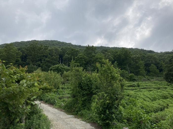 사진 05