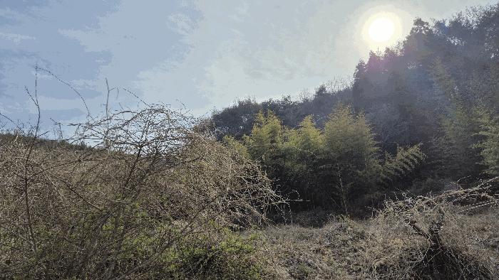 사진 08