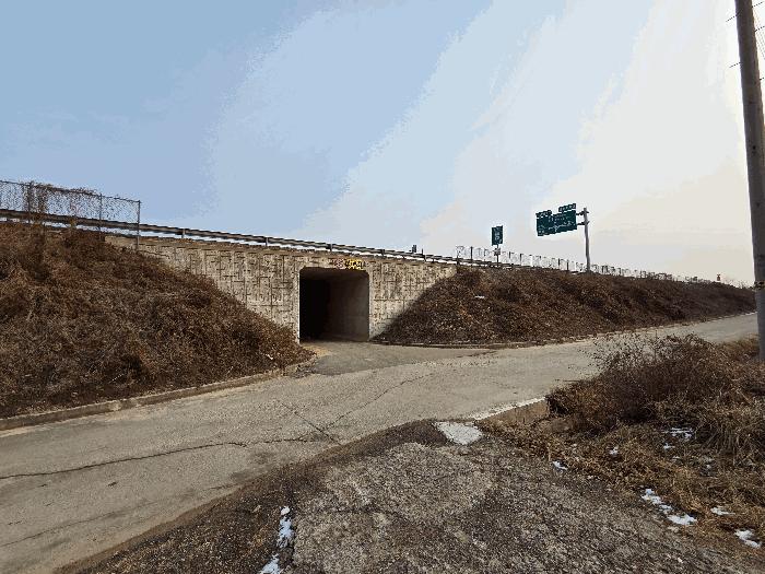 사진 02