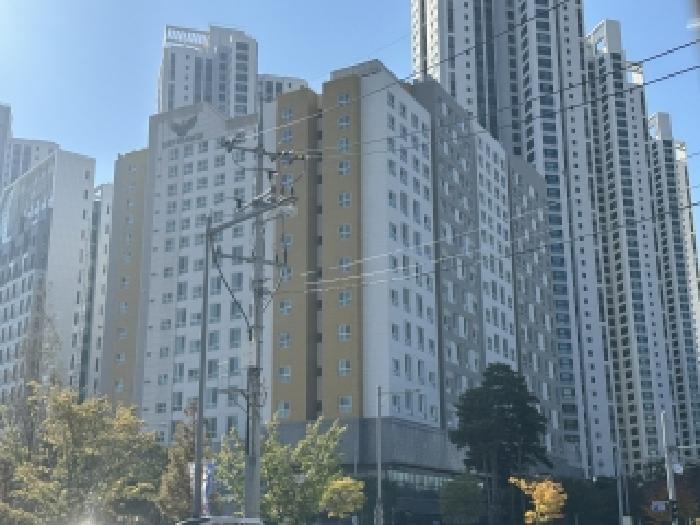 사진 02