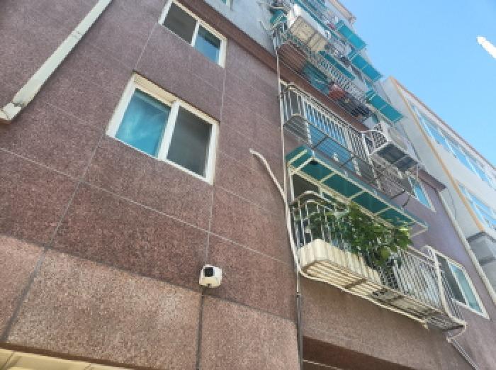 사진 06