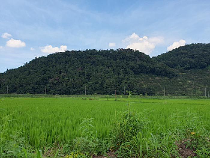 사진 05