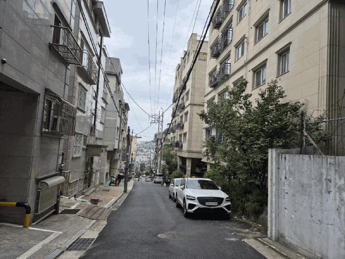 사진 03