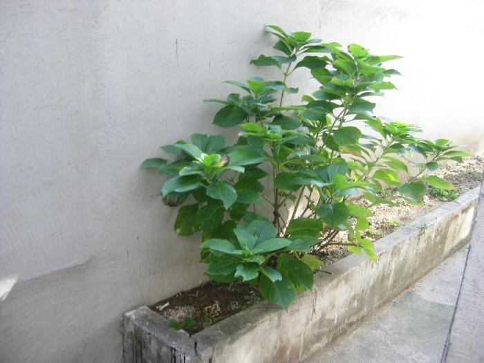 사진 07