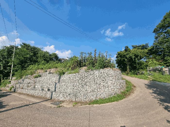 사진 03