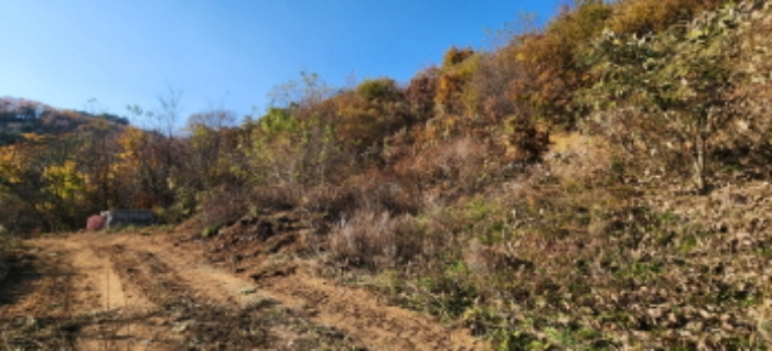 사진 01