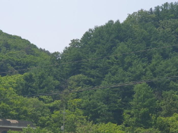 사진 06