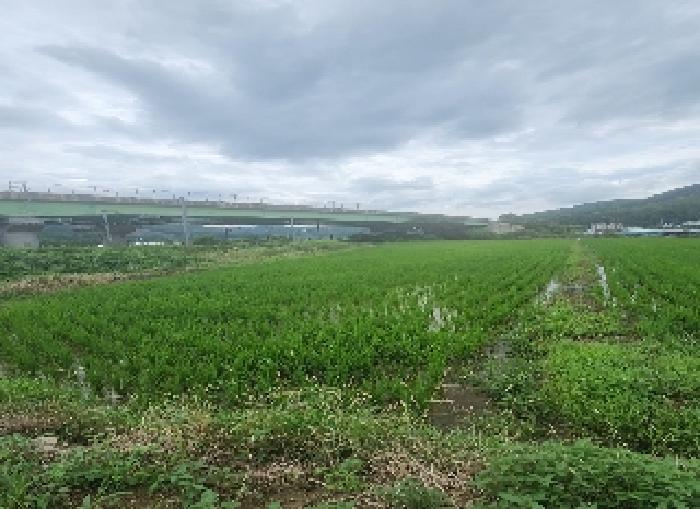 사진 04