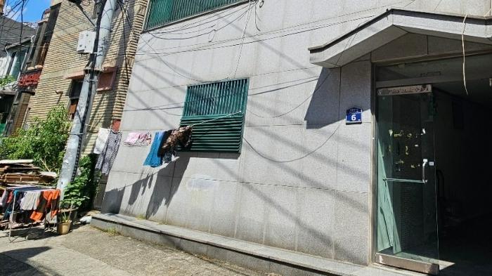 사진 08