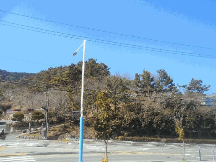 사진 05
