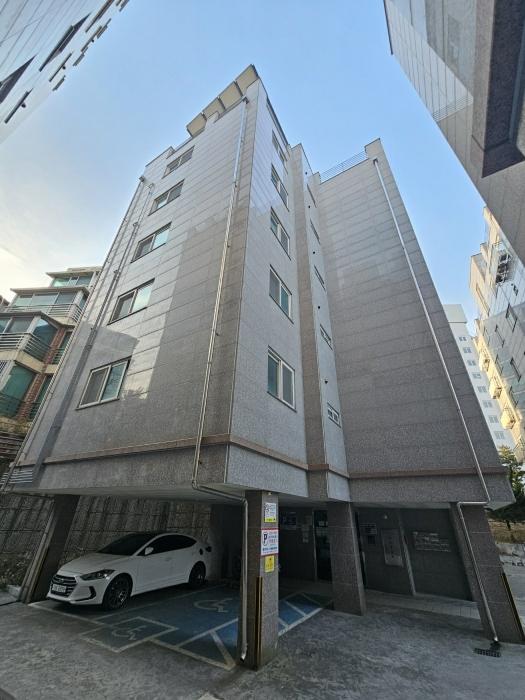 사진 01