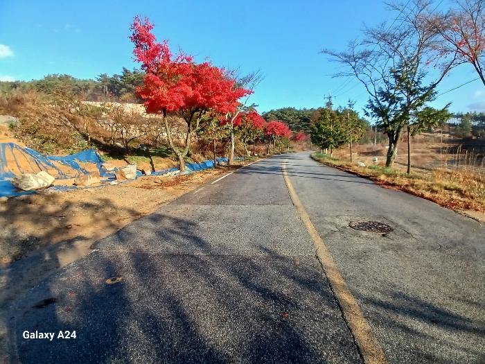 사진 04