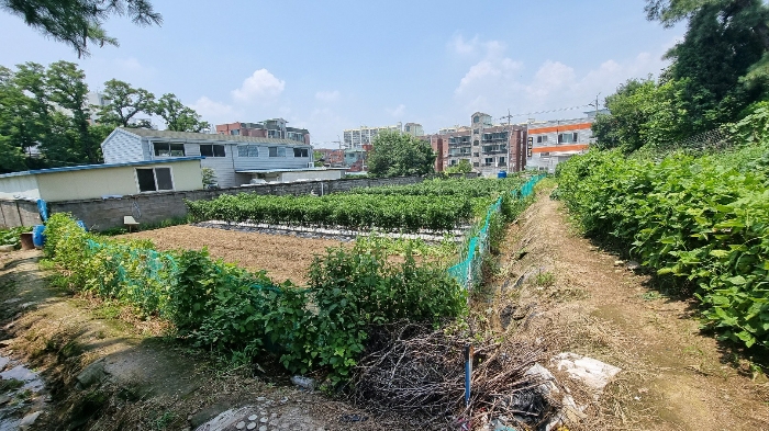 사진 08
