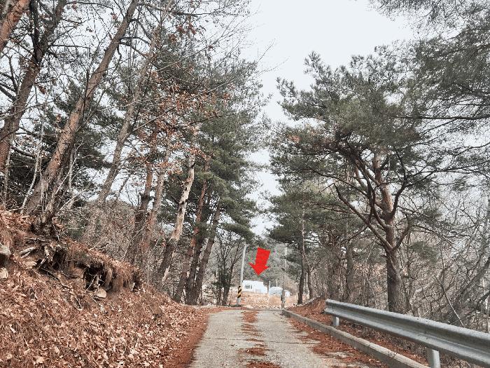 사진 03
