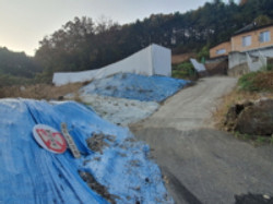 사진 01