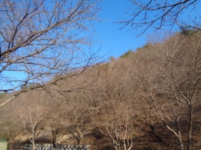 사진 05