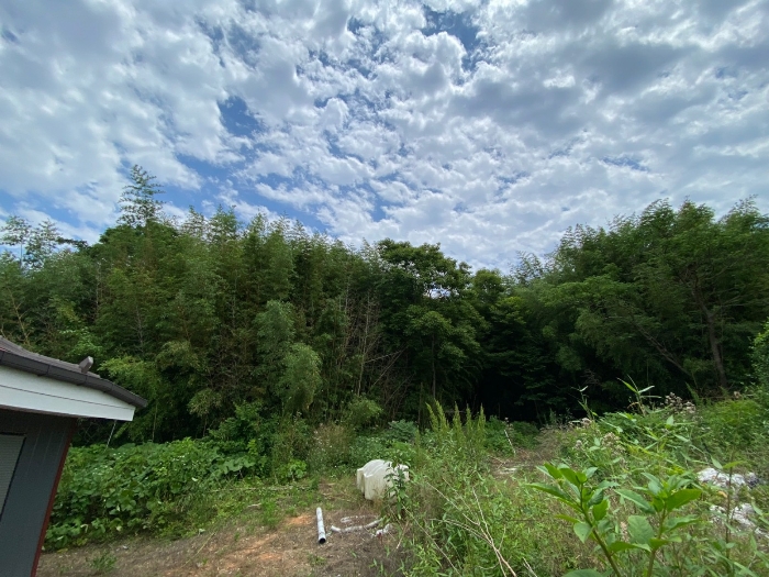 사진 02