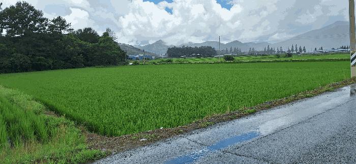 사진 03