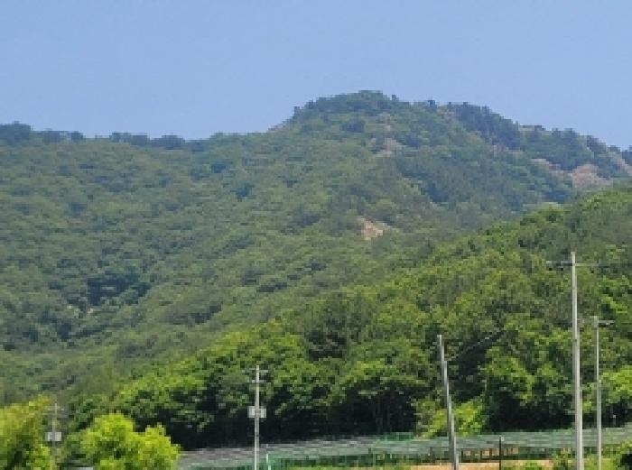 사진 08