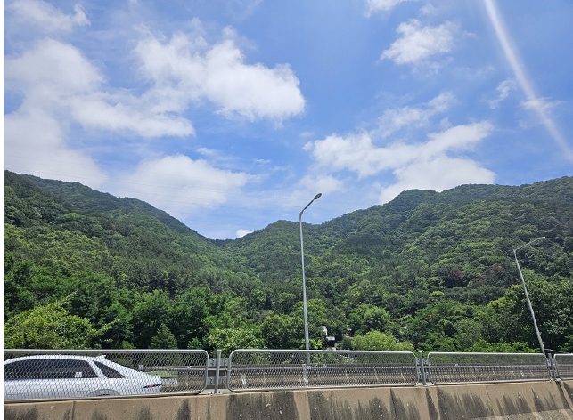 사진 01