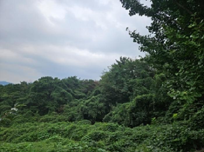 사진 05