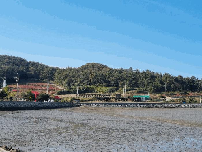 사진 08