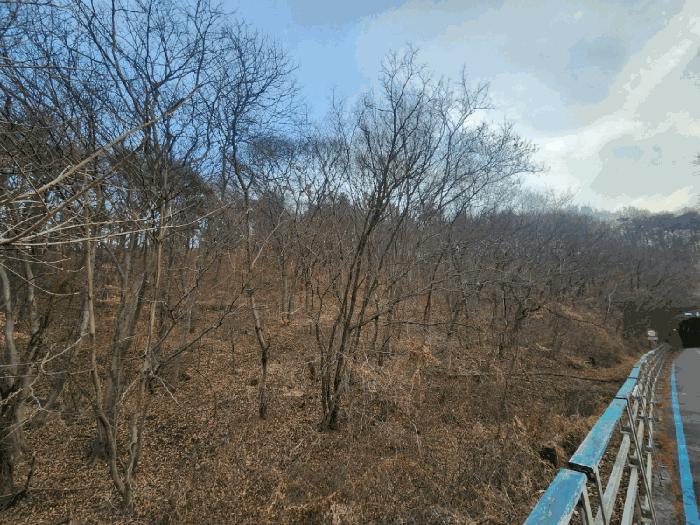 사진 02