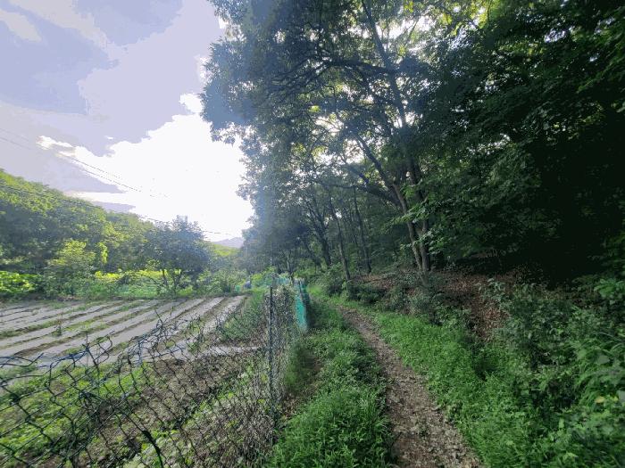 사진 03