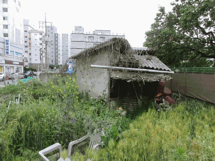 사진 03