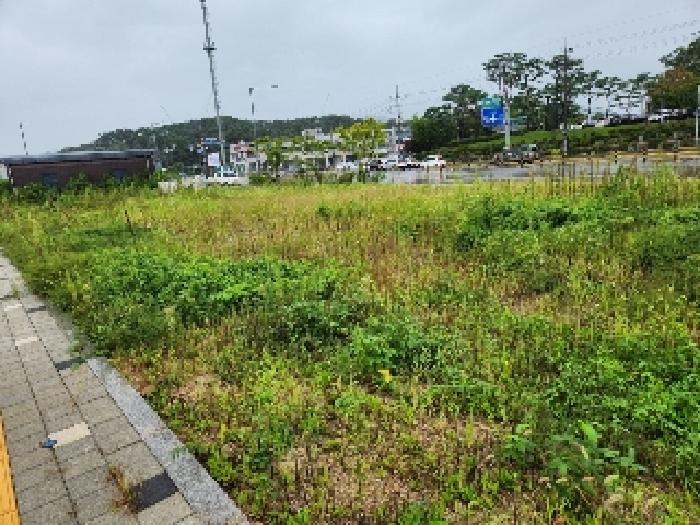 사진 04