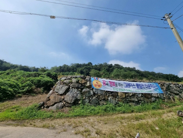 사진 02