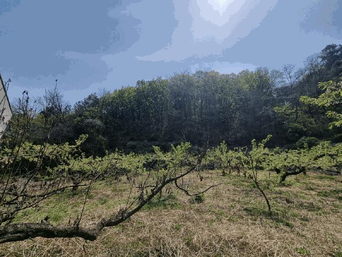 사진 06