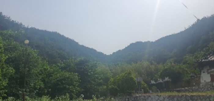 사진 08