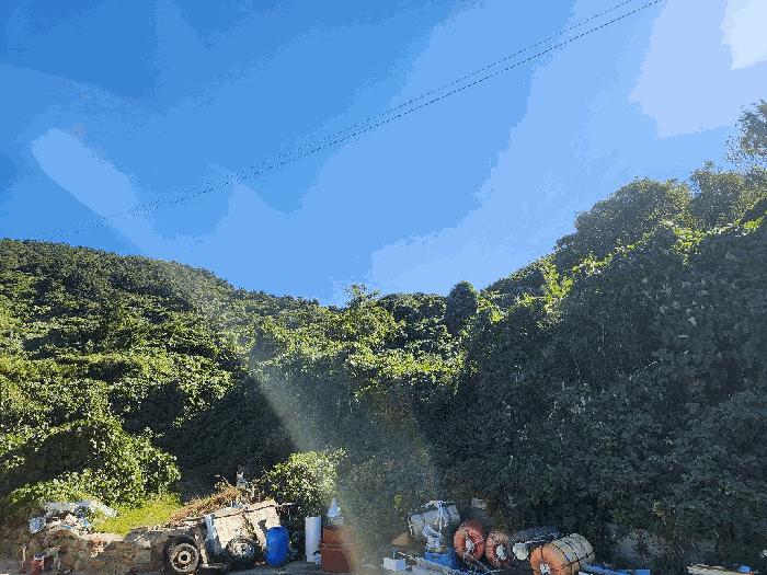 사진 07