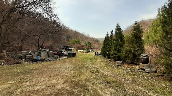 사진 06
