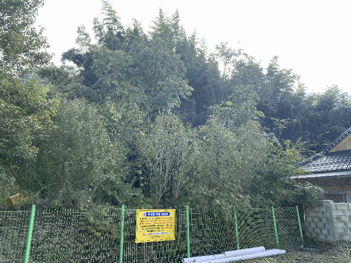 사진 05